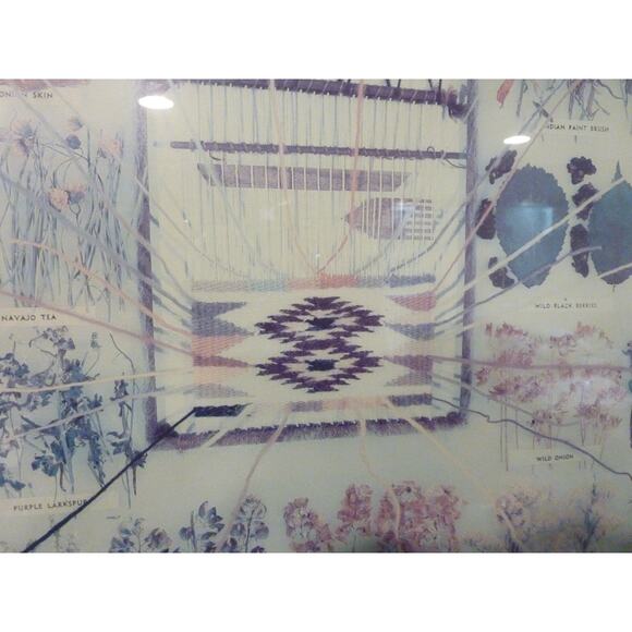 Vintage Framed Navajo Plant Dye Chart Print Ella Myers - Picture 6 of 9
